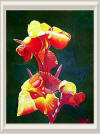 Still - Flower